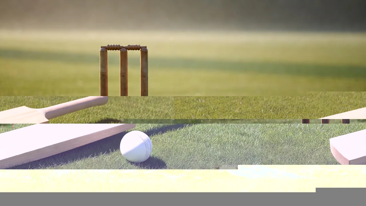 Wooden stumps with bails in soft morning light