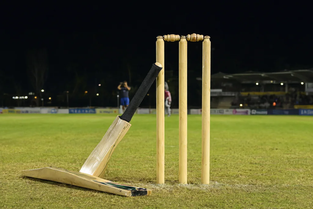 Cricket stumps and a bat resting on the pitch at night