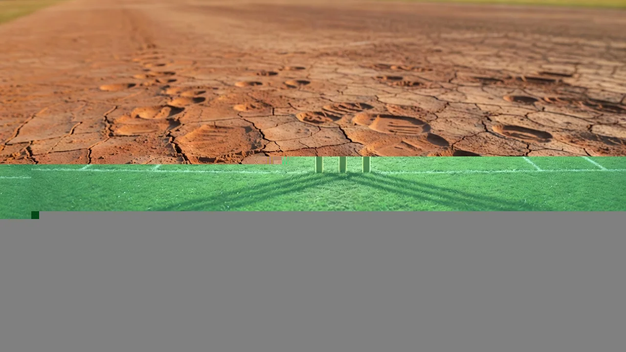 A cricket pitch with stumps under floodlights and a night sky