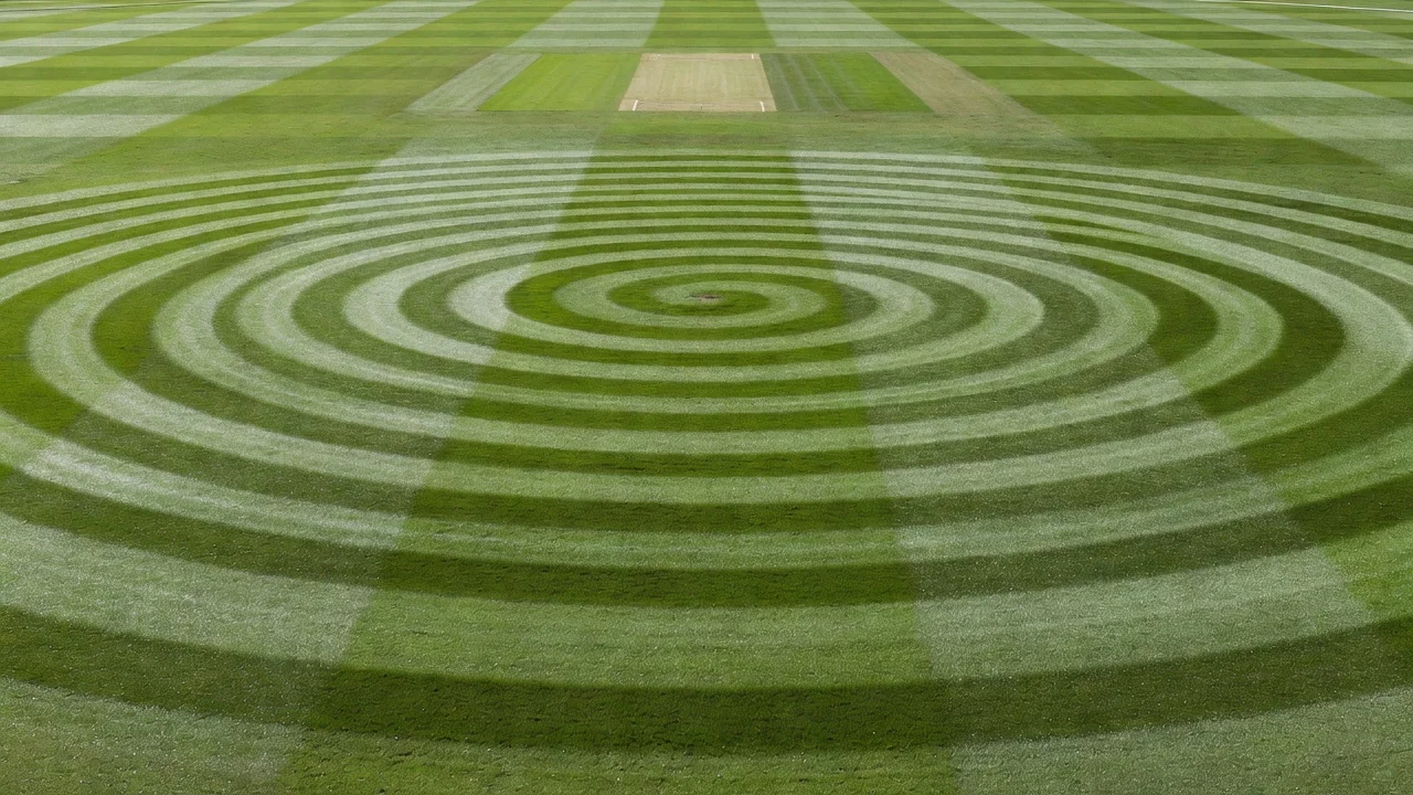 A cricket field from above showing concentric mowing rings