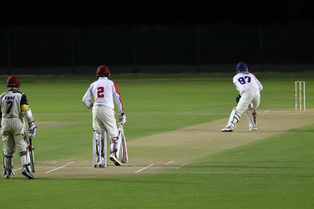 Cricket players on the pitch seen from behind the boundary rope