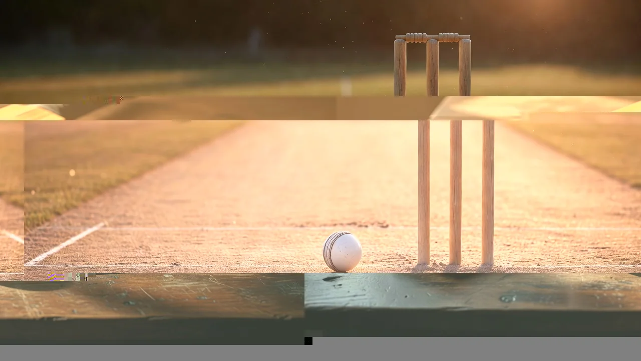 Cricket bat, ball and a notebook on a wooden table
