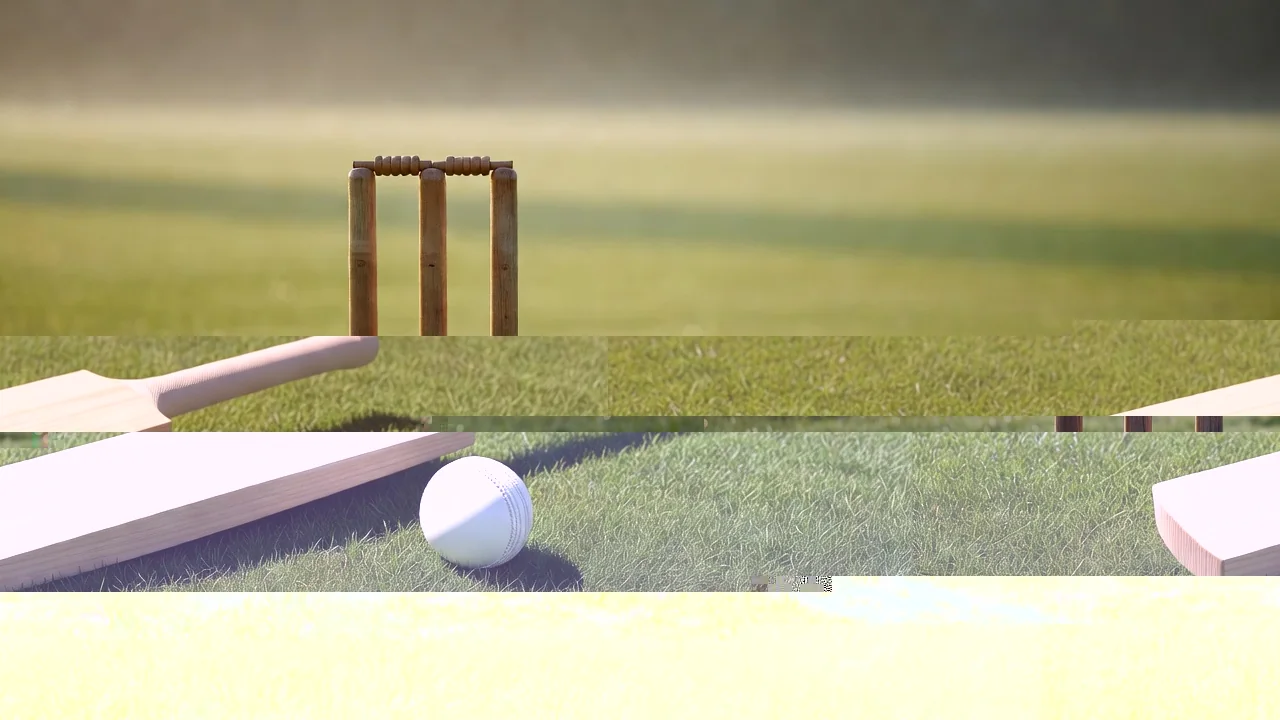 Modern cricket bat and white ball on a short-cut turf square